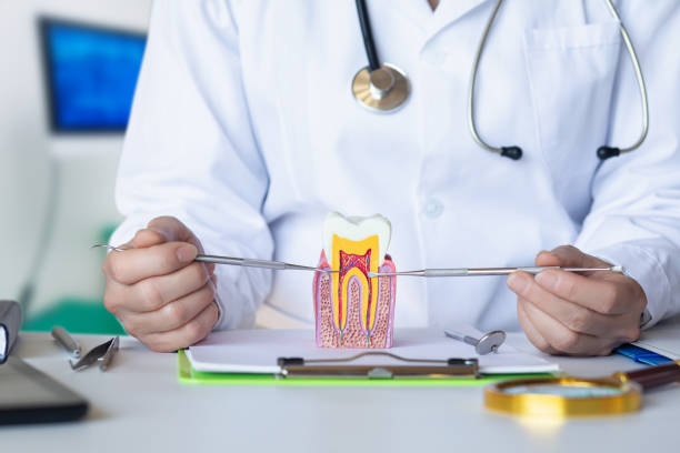 Best Emergency Dental Care for Broken or Chipped Teeth in Clarks Summit, PA
